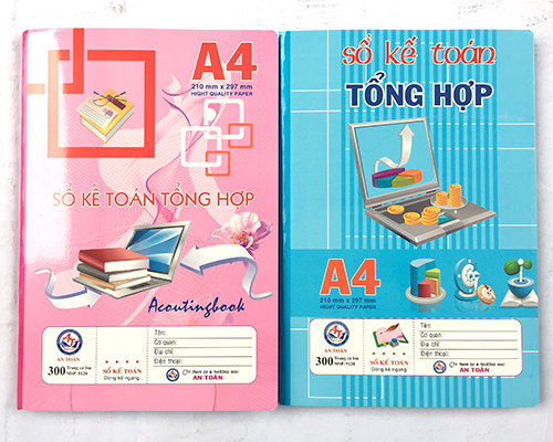 Sổ Kế toán tổng hợp- 300 trang