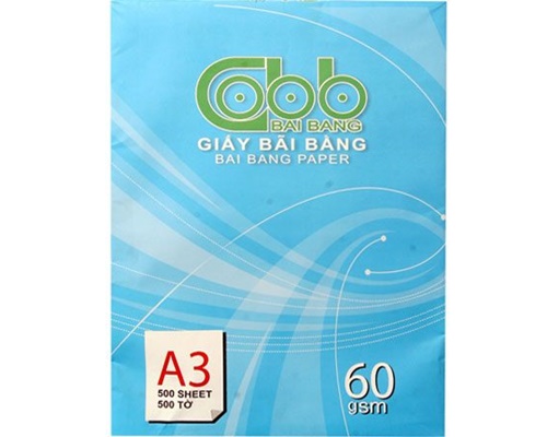 Giấy in Bãi bằng xanh A3